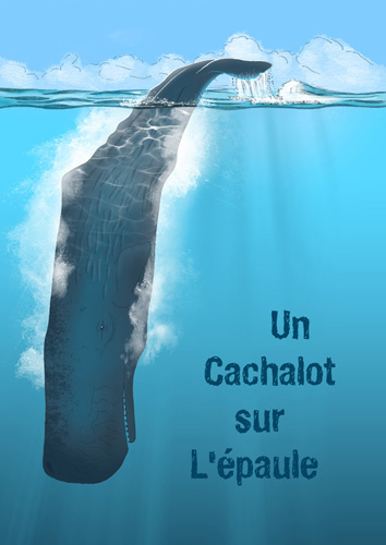 Un cachalot sur l’épaule